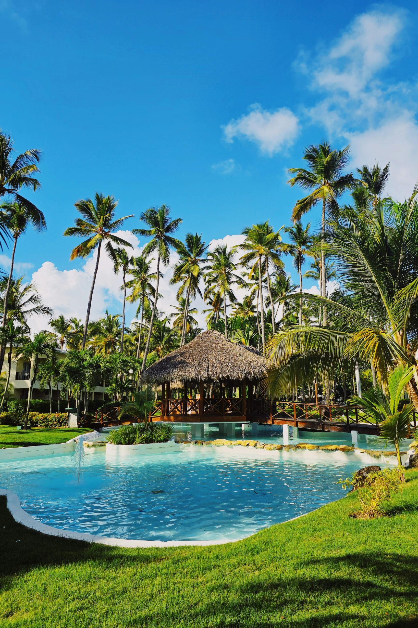 pexels-cgxl-media-296477534-28201204